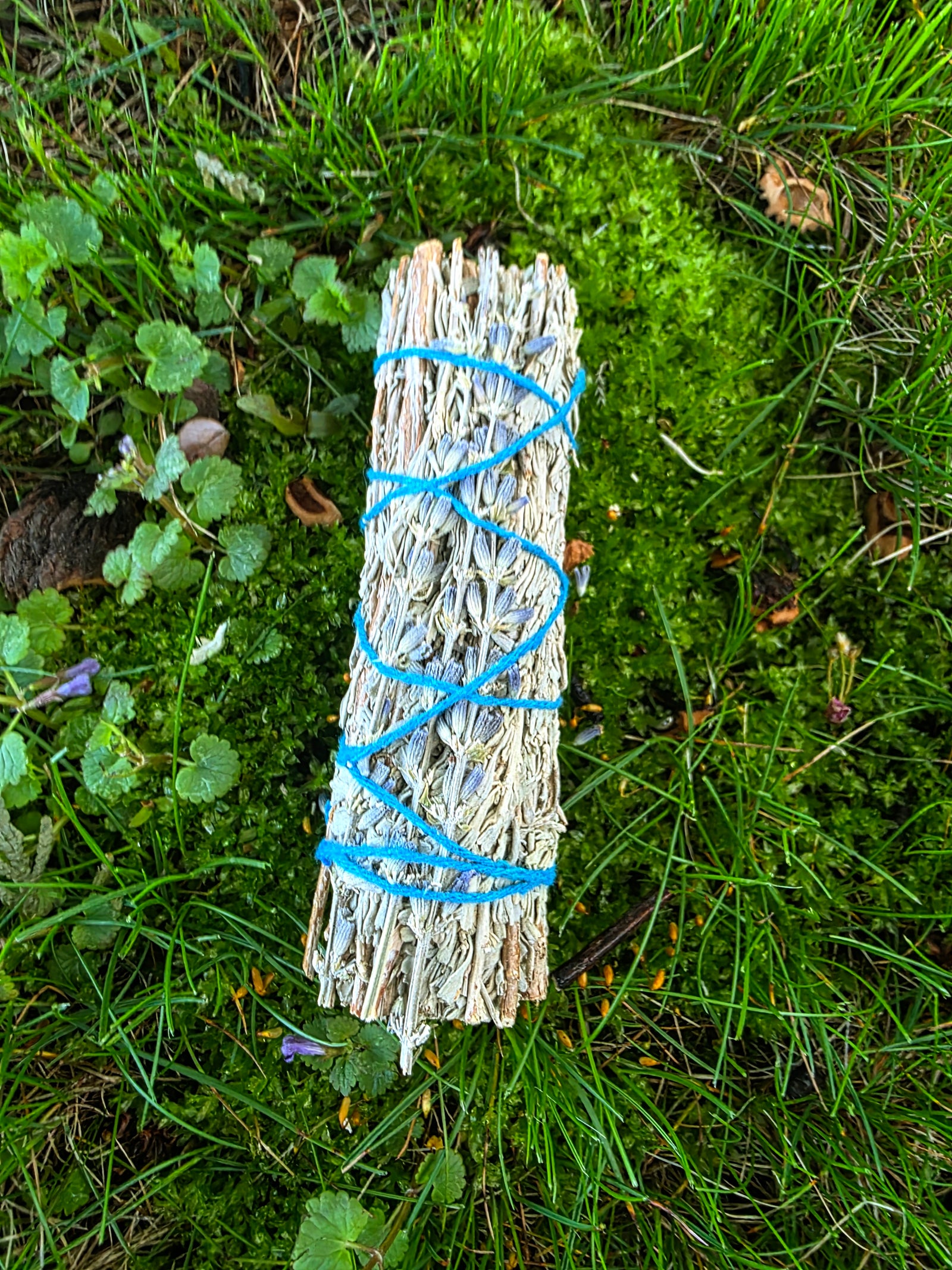 Blue Sage and Lavender Smudge Bundle