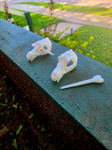 Wolf Skull Beard and Hair Pins