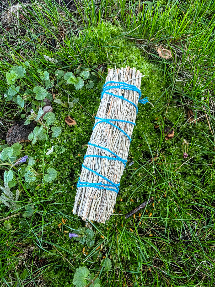 Blue Sage