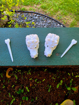 Dragon Skull Beard and Hair Pin