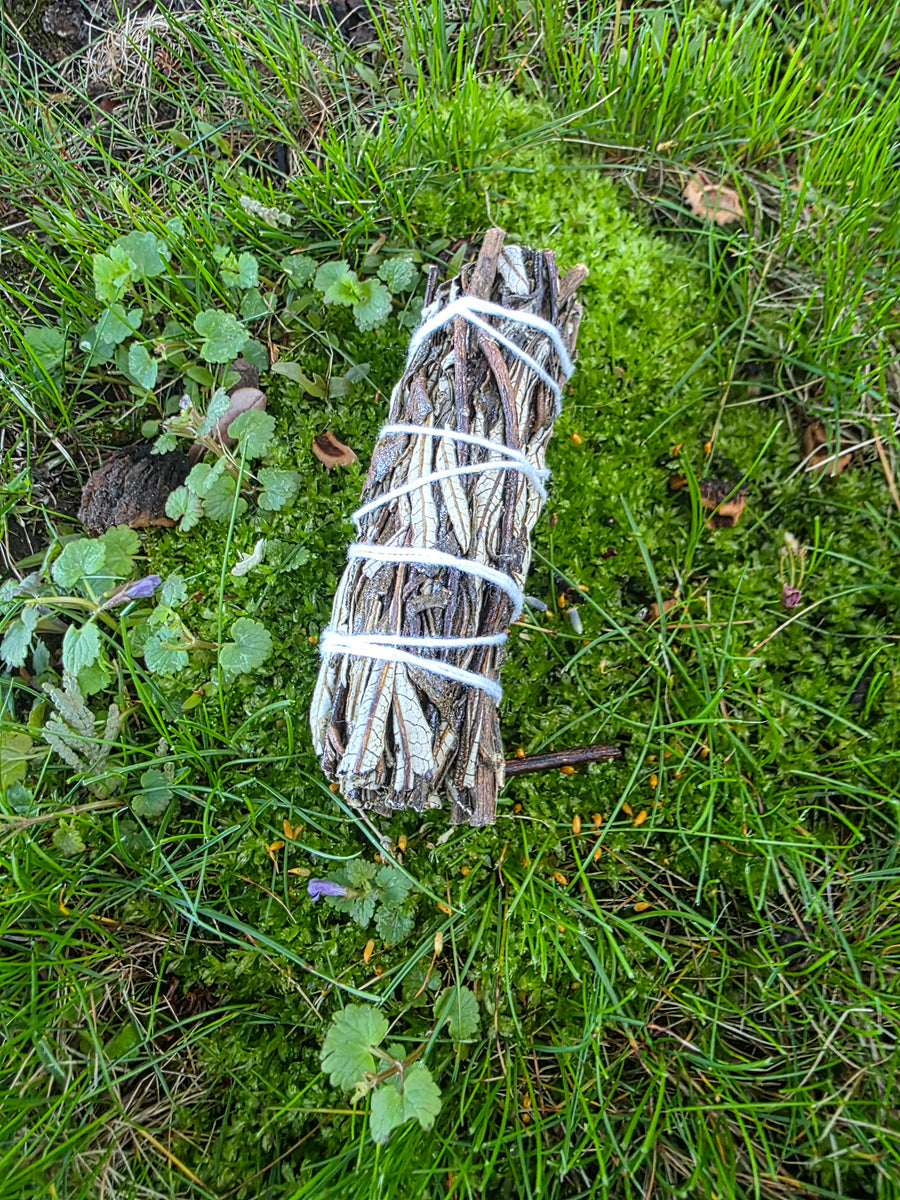 Yerba Santa