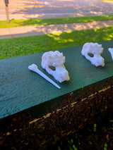 Dragon Skull Beard and Hair Pin