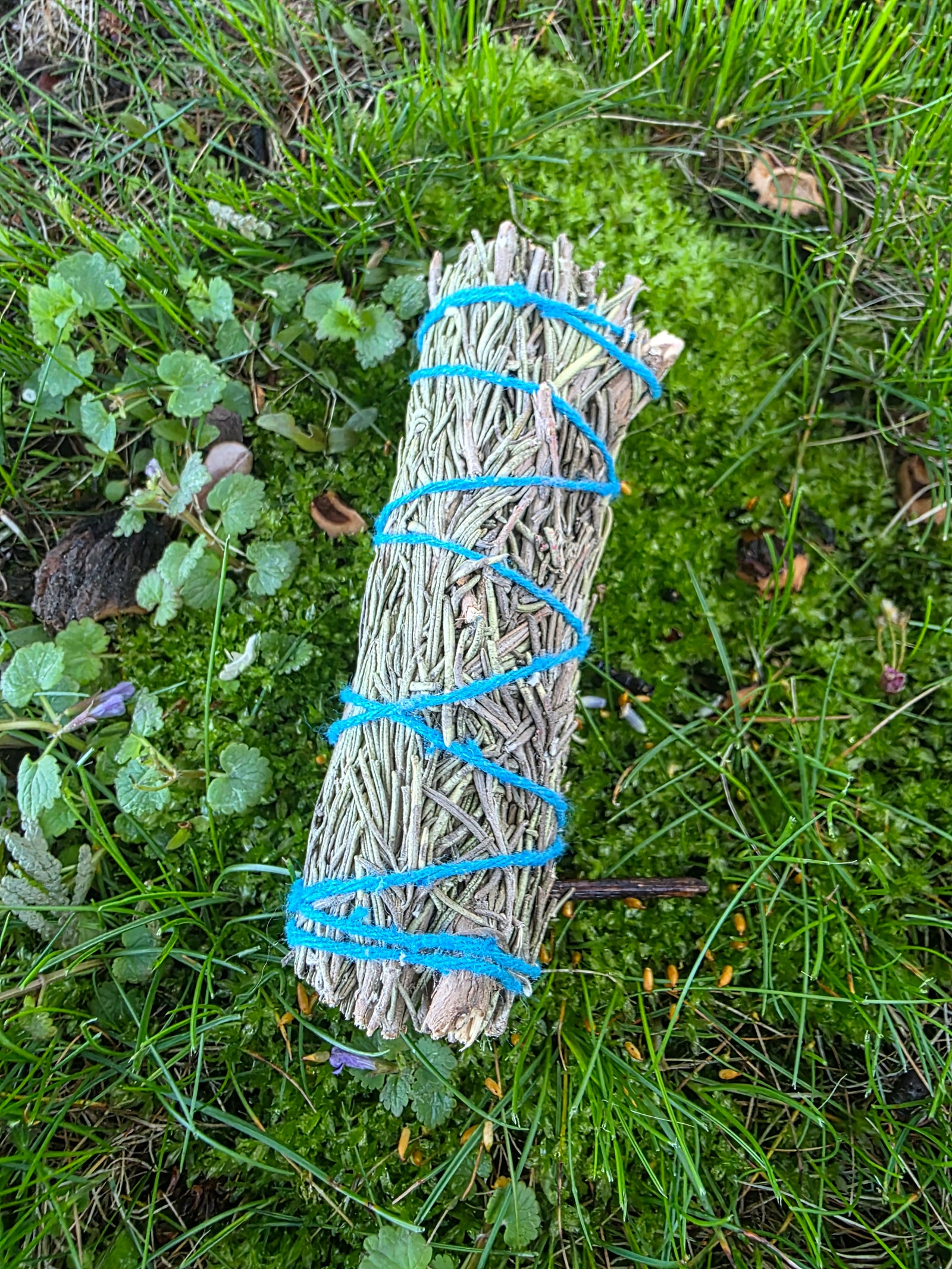 Rosemary Bundle