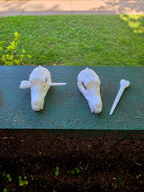Wolf Skull Beard and Hair Pins